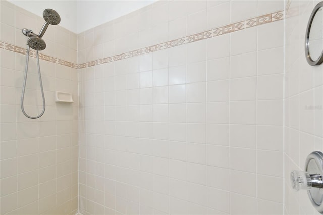 19215 Meadow Pine Dr, Tampa, FL 33647 - photo 43