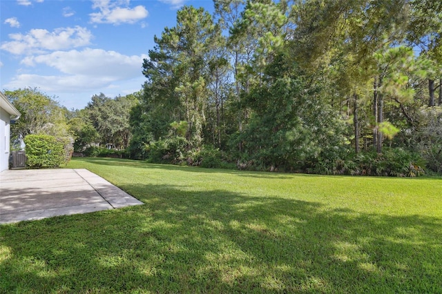 19215 Meadow Pine Dr, Tampa, FL 33647 - photo 50