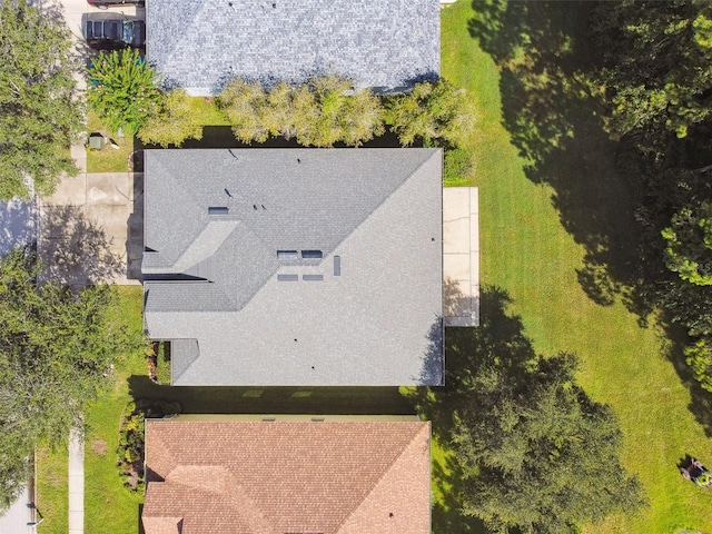 19215 Meadow Pine Dr, Tampa, FL 33647 - photo 51