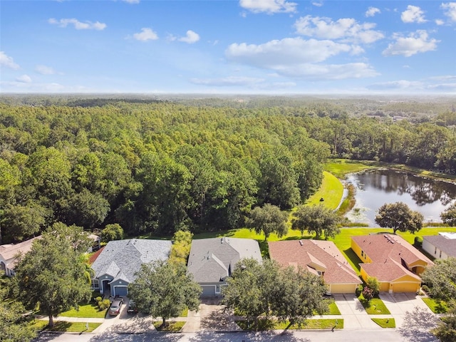 19215 Meadow Pine Dr, Tampa, FL 33647 - photo 52
