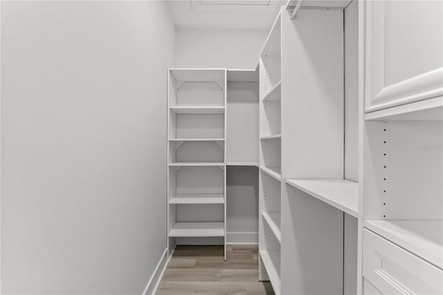4120 W N A St Unit 6, Tampa, FL 33609 - photo 18