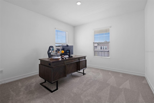 18362 Serene Lake Loop, Lutz, FL 33548 - photo 50