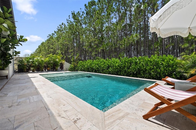 18362 Serene Lake Loop, Lutz, FL 33548 - photo 53