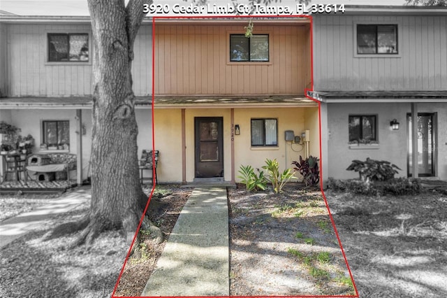 3920 Cedar Limb Ct, Tampa, FL 33614 - photo 2