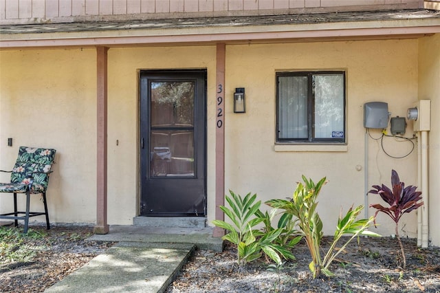 3920 Cedar Limb Ct, Tampa, FL 33614 - photo 3