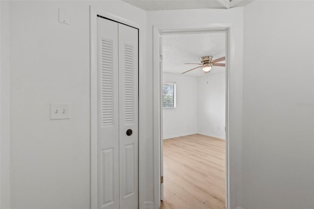 3920 Cedar Limb Ct, Tampa, FL 33614 - photo 25