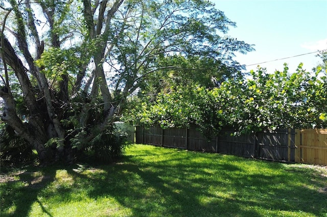 107 E Spruce St, Tarpon Springs, FL 34689 - photo 14