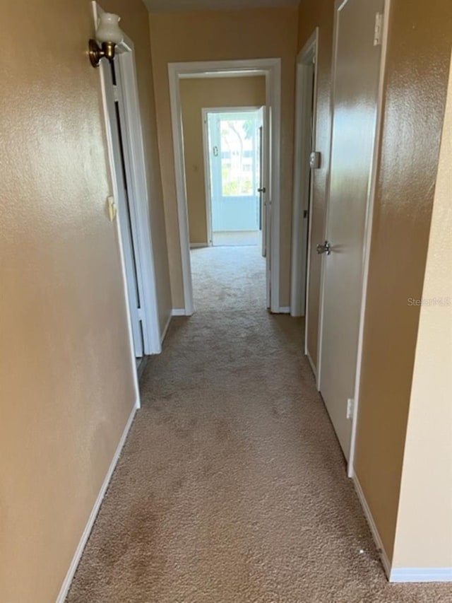 11251 80th Ave Unit 308, Seminole, FL 33772 - photo 15
