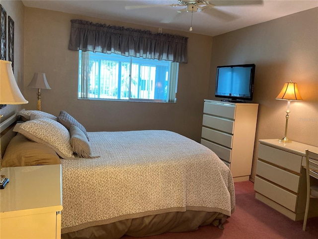 8101 113th St Unit 101, Seminole, FL 33772 - photo 8