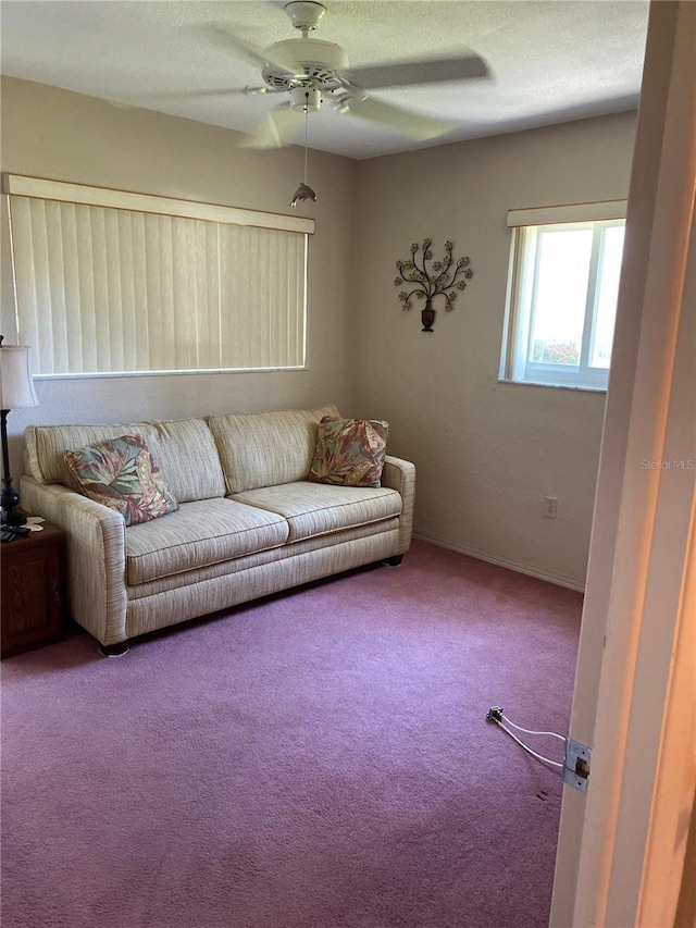 8101 113th St Unit 101, Seminole, FL 33772 - photo 11