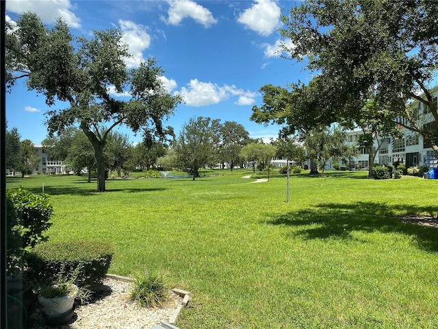 8101 113th St Unit 101, Seminole, FL 33772 - photo 19