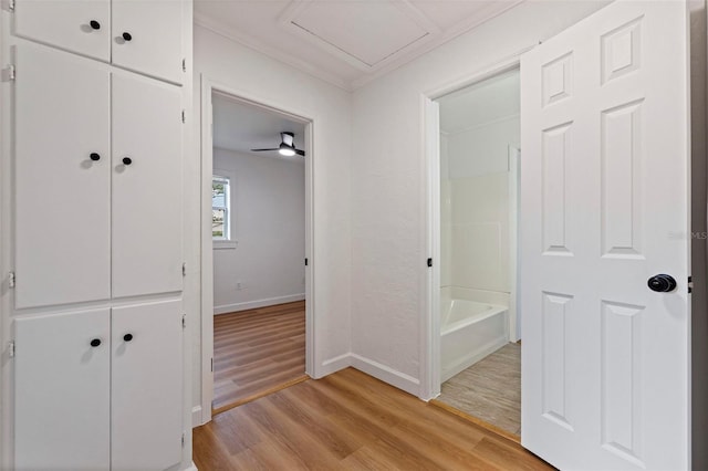 1593 76th Ave N, Saint Petersburg, FL 33702 - photo 10