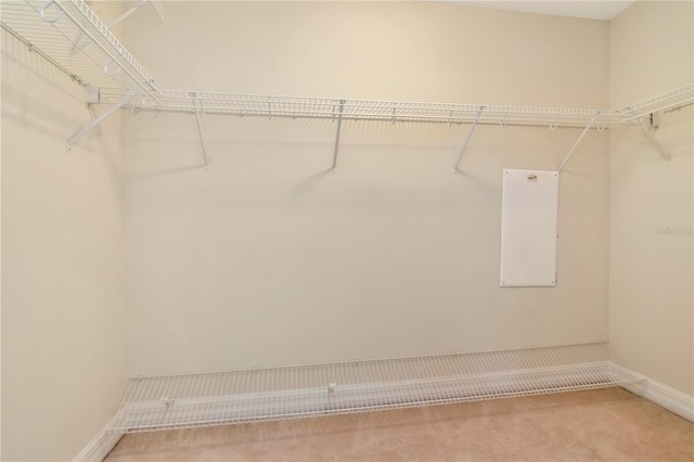 4516 Seagull Dr Unit 916, New Port Richey, FL 34652 - photo 22