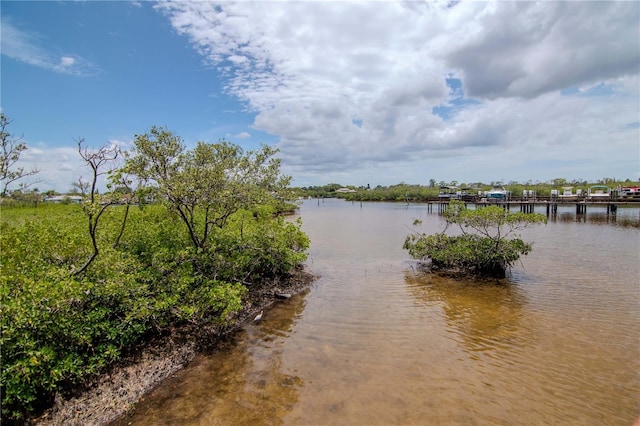 4516 Seagull Dr Unit 916, New Port Richey, FL 34652 - photo 54