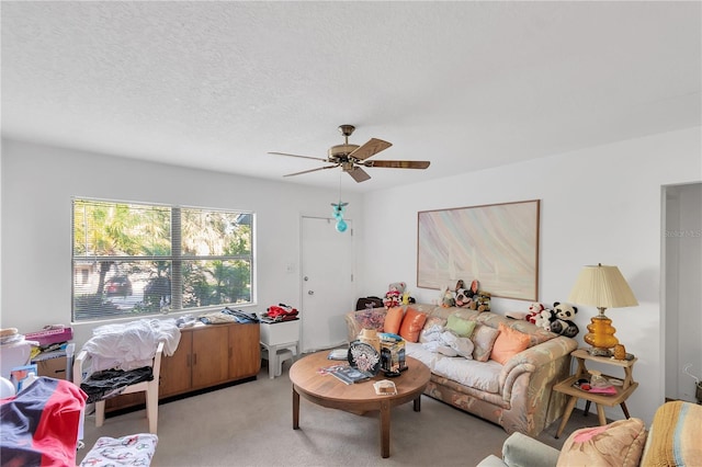553 Jefferson St, Palm Harbor, FL 34683 - photo 9