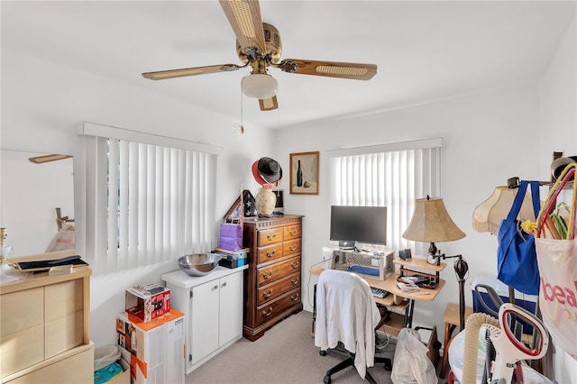 553 Jefferson St, Palm Harbor, FL 34683 - photo 12