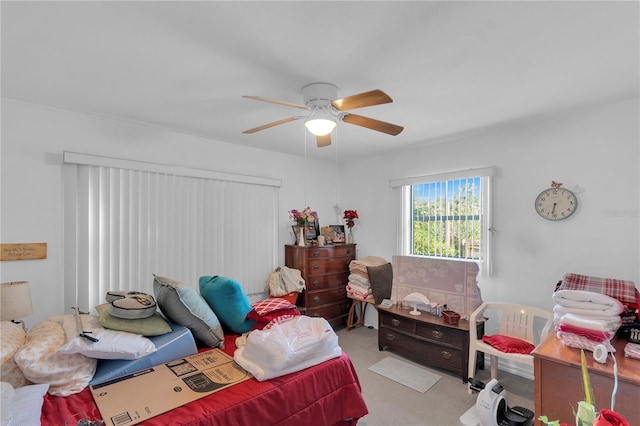 553 Jefferson St, Palm Harbor, FL 34683 - photo 14