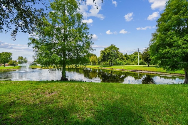 17228 Whisper Breeze Way, Land O Lakes, FL 34638 - photo 47