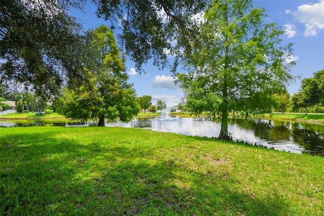 17228 Whisper Breeze Way, Land O Lakes, FL 34638 - photo 48