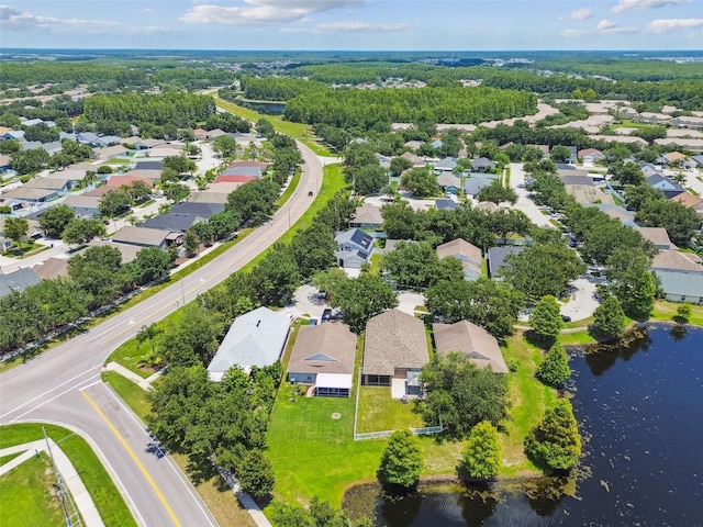 17228 Whisper Breeze Way, Land O Lakes, FL 34638 - photo 59