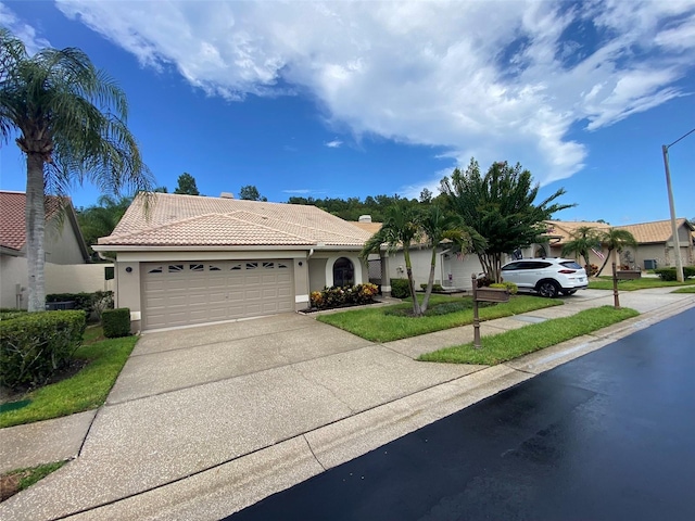 3664 Darston St, Palm Harbor, FL 34685 - photo 2