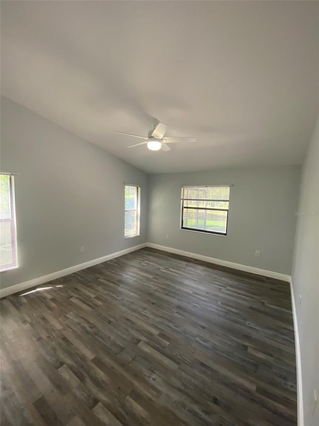 3664 Darston St, Palm Harbor, FL 34685 - photo 18
