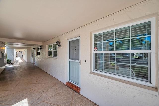 870 Virginia St Unit 113, Dunedin, FL 34698 - photo 4