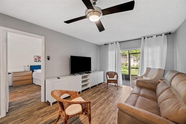 870 Virginia St Unit 113, Dunedin, FL 34698 - photo 14