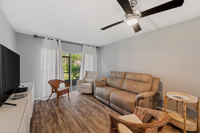 870 Virginia St Unit 113, Dunedin, FL 34698 - photo 15