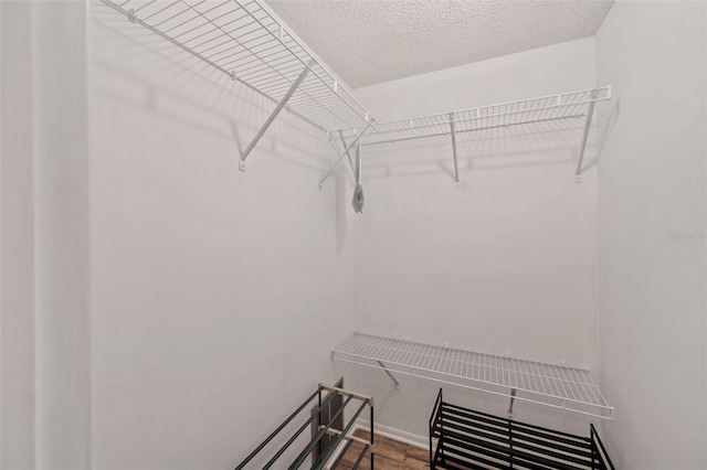 870 Virginia St Unit 113, Dunedin, FL 34698 - photo 22