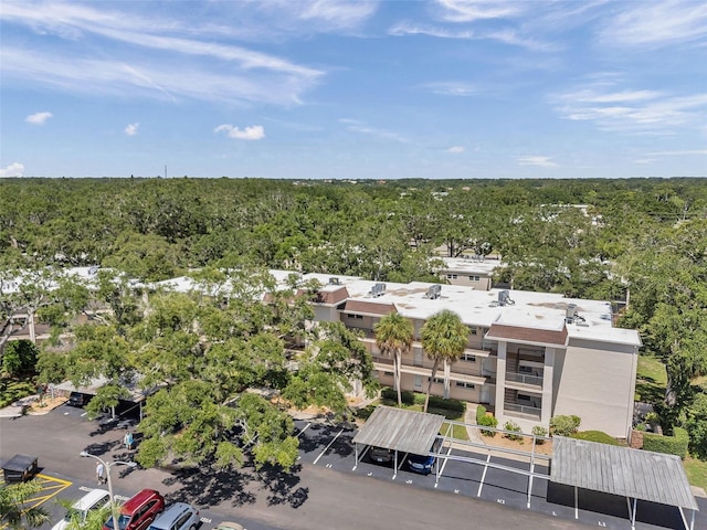 870 Virginia St Unit 113, Dunedin, FL 34698 - photo 32
