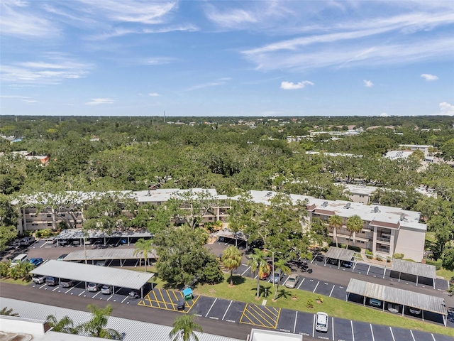 870 Virginia St Unit 113, Dunedin, FL 34698 - photo 33