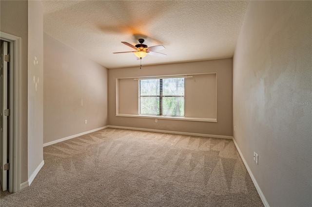 11816 13th Way N, Saint Petersburg, FL 33716 - photo 18