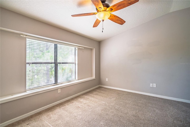 11816 13th Way N, Saint Petersburg, FL 33716 - photo 29