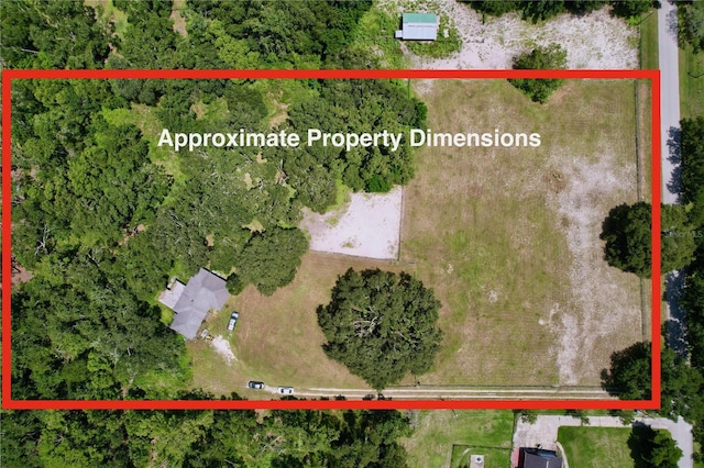 7727 Bay Pines Dr, Wesley Chapel, FL 33544 - photo 2