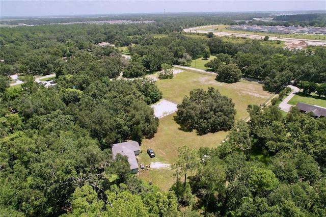 7727 Bay Pines Dr, Wesley Chapel, FL 33544 - photo 29