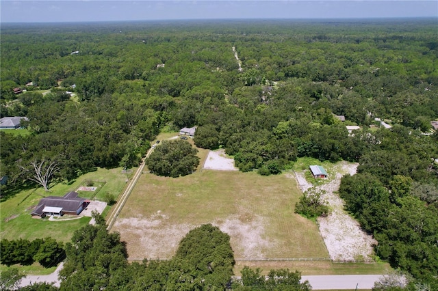 7727 Bay Pines Dr, Wesley Chapel, FL 33544 - photo 31