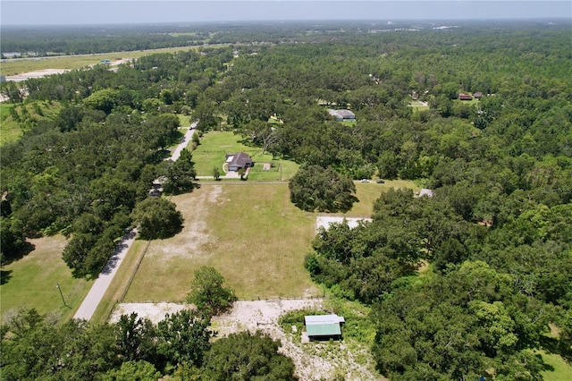 7727 Bay Pines Dr, Wesley Chapel, FL 33544 - photo 34