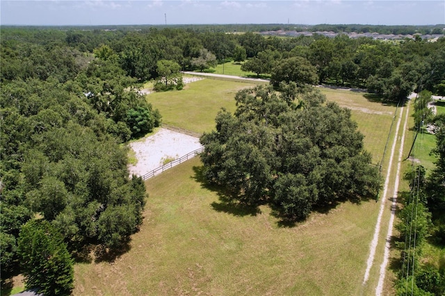 7727 Bay Pines Dr, Wesley Chapel, FL 33544 - photo 42