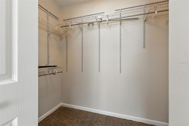 3614 Pine Knot Dr Unit 3614, Valrico, FL 33596 - photo 17