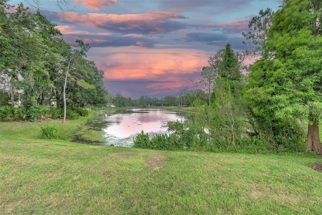15541 Martinmeadow Dr, Lithia, FL 33547 - photo 48