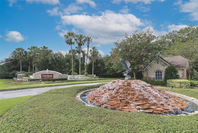 15541 Martinmeadow Dr, Lithia, FL 33547 - photo 50