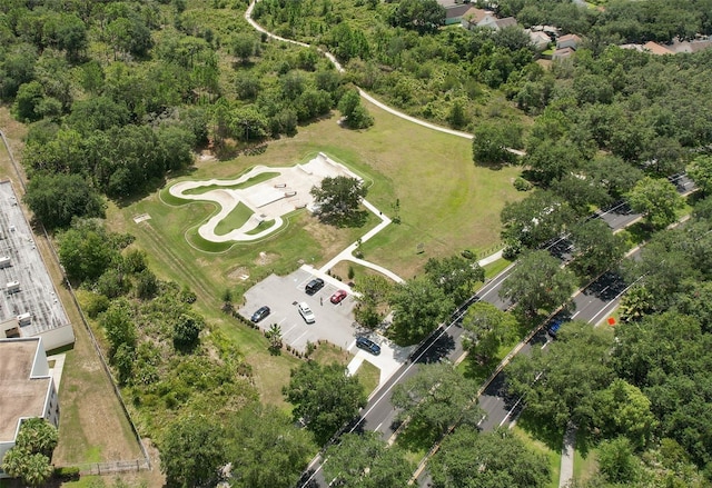 15541 Martinmeadow Dr, Lithia, FL 33547 - photo 51