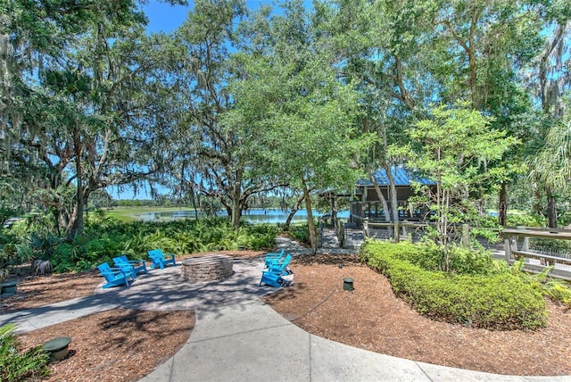 15541 Martinmeadow Dr, Lithia, FL 33547 - photo 68