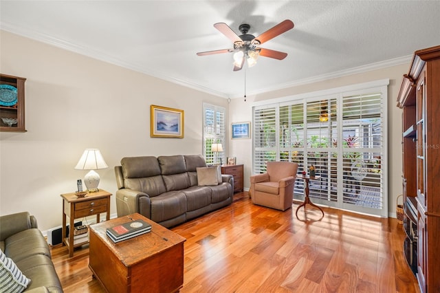 5902 Phoebenest Dr, Lithia, FL 33547 - photo 17