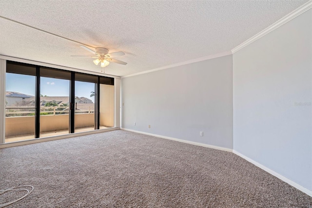 5950 Pelican Bay Plz S Unit 202, Gulfport, FL 33707 - photo 24