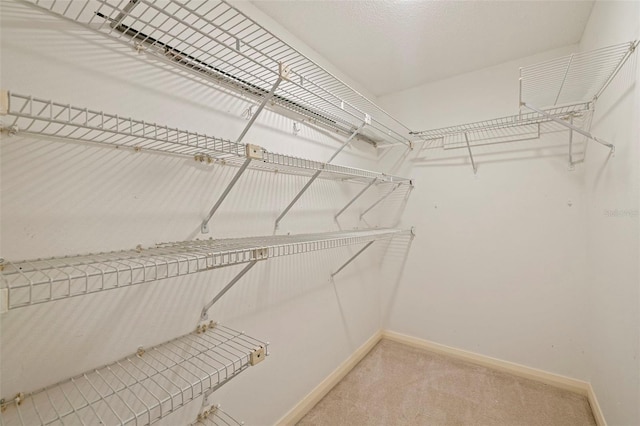 5950 Pelican Bay Plz S Unit 202, Gulfport, FL 33707 - photo 36