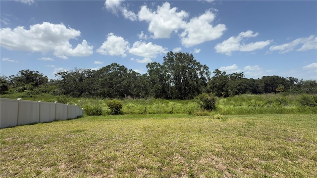 16610 Delia St, Wimauma, FL 33598 - photo 28