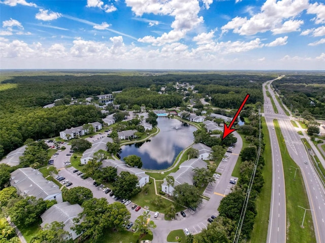 1135 Pine Ridge Cir W Unit A1, Tarpon Springs, FL 34688 - photo 2