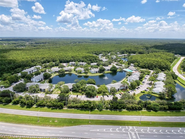 1135 Pine Ridge Cir W Unit A1, Tarpon Springs, FL 34688 - photo 25